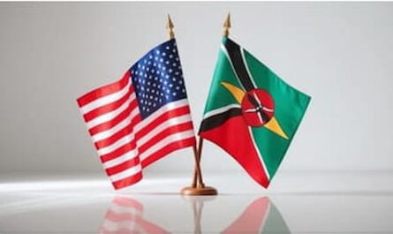 Image of United States and Kenya flag on my table desk