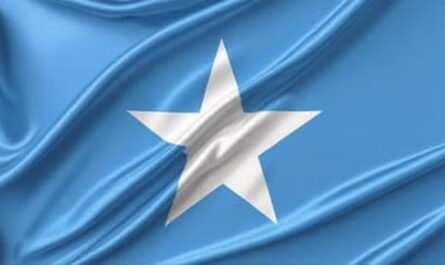 Image of flag of Somalia