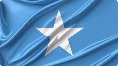 How do I get Somali passport in usa